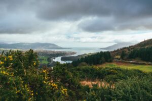 Moody grey cloudy sky, with rolling green hills and vegetation, Slieve Gullion, Co. Armagh,  Ring of Gullion, Northern Ireland and yellow flowers